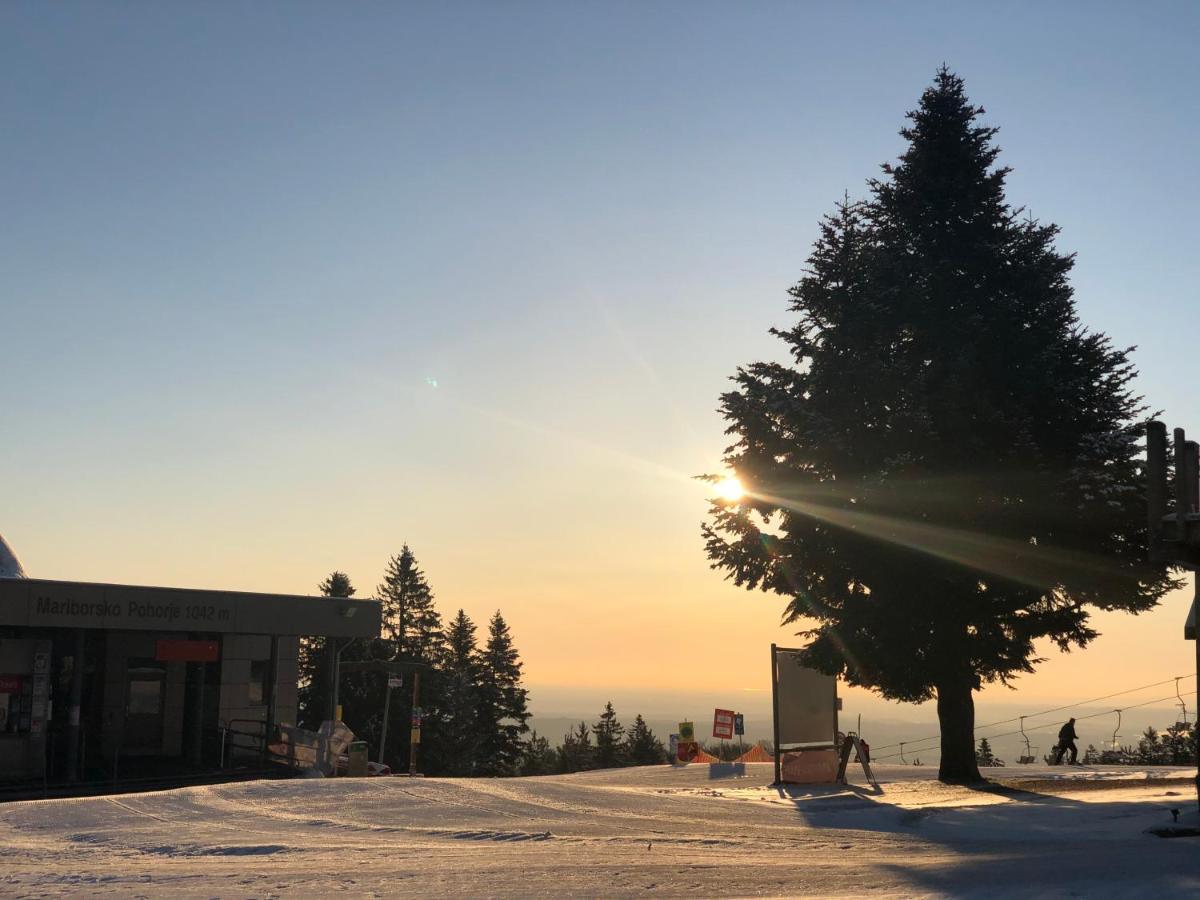 Chalet Anra Pohorje Zgornje Hoce Exterior photo