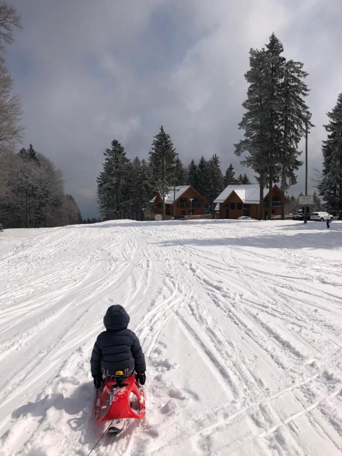Chalet Anra Pohorje Zgornje Hoce Exterior photo