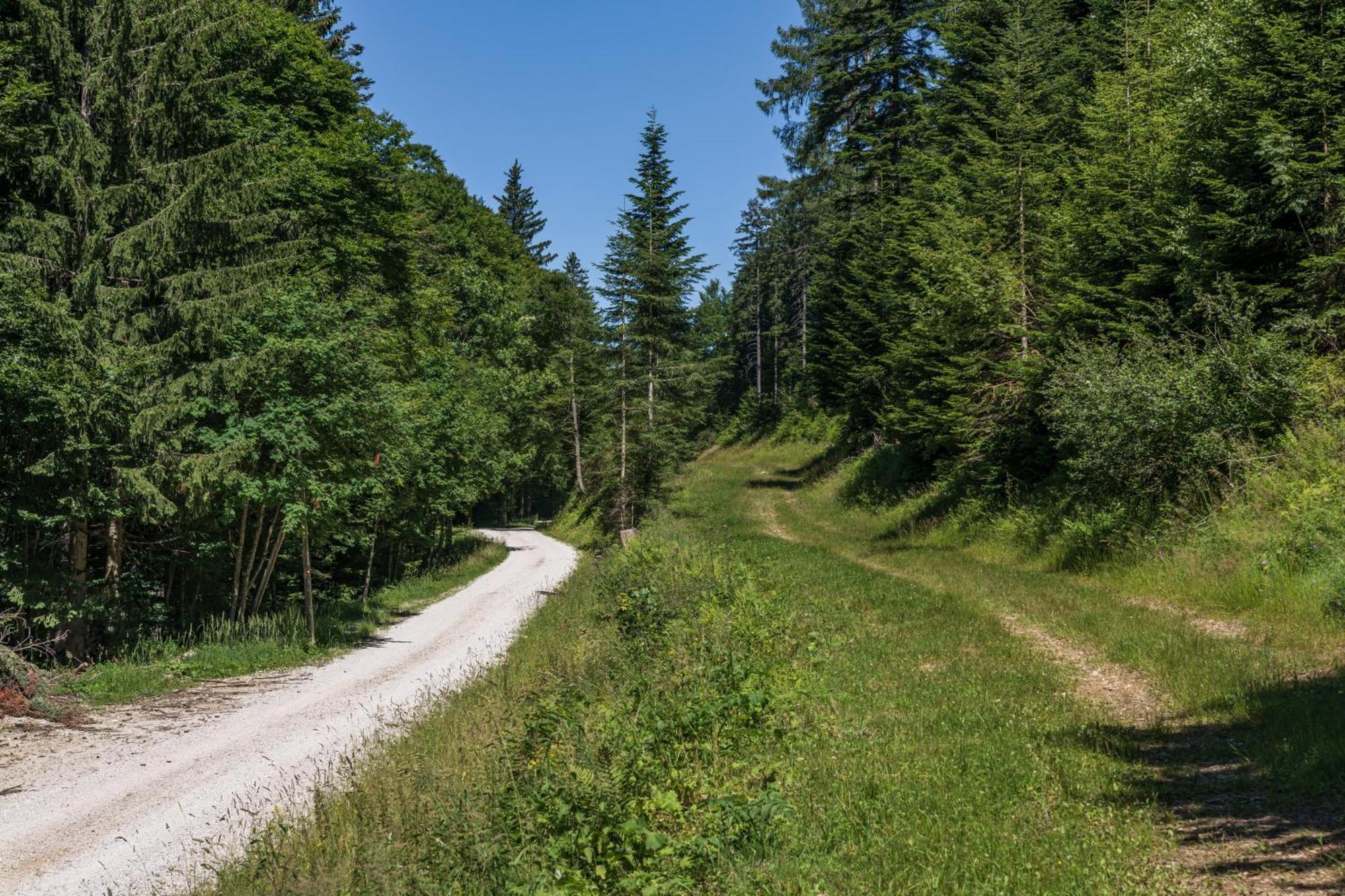 Chalet Anra Pohorje Zgornje Hoce Exterior photo